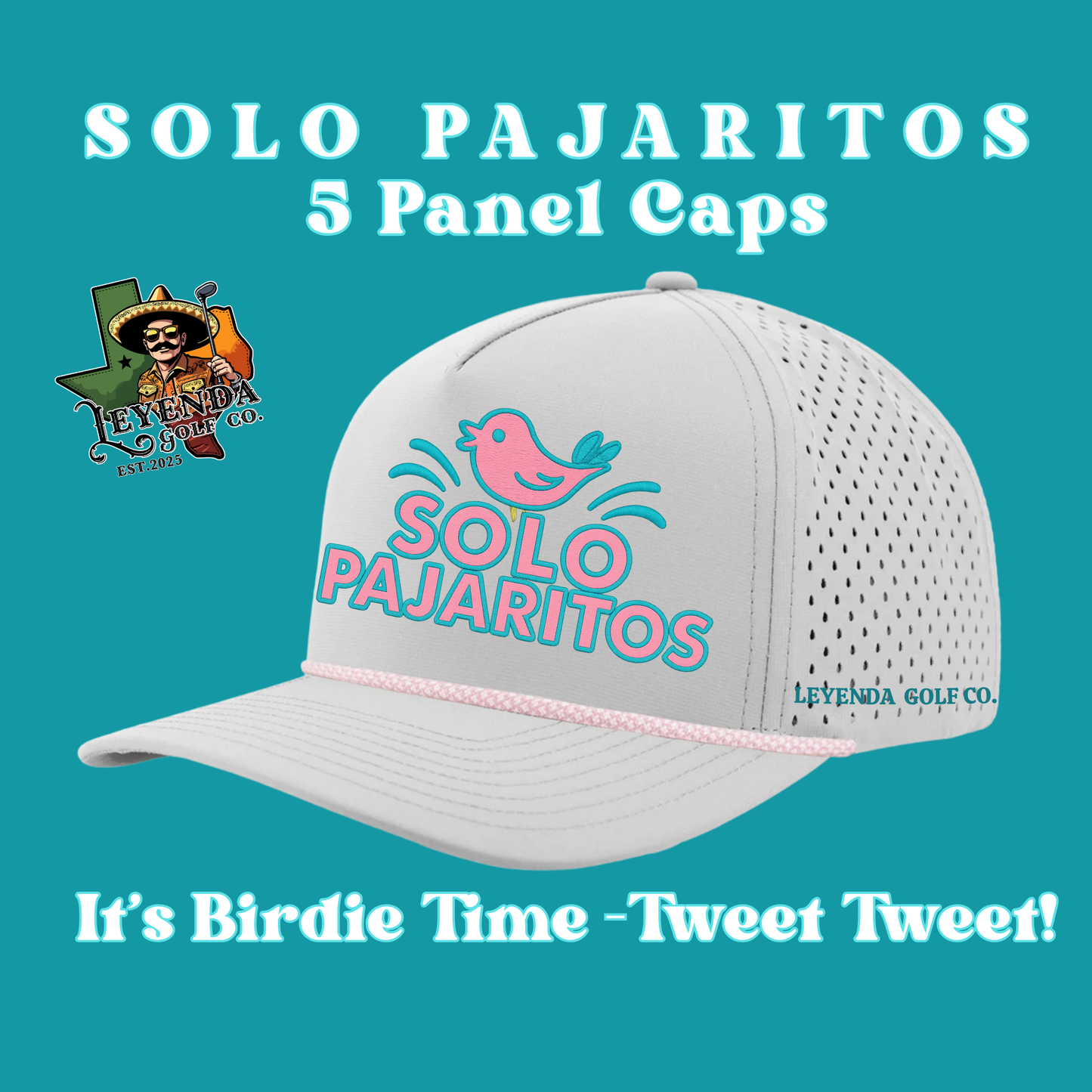 Solo Pajaritos Snapback Cap – Teal & Pink Edition